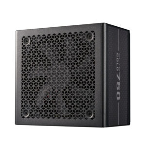 COOLER MASTER COOLER MASTER ELITE Gold 750 FM - 80+ GOLD - 750 WATTS - cable tressé