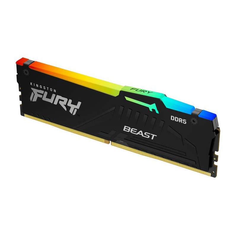 KINGSTON Technology FURY Beast 16 Go 5600 MT/s DDR5 CL36 DIMM RGB