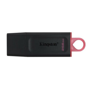 KINGSTON 256G USB 3.2 Gen 1 *DTX/256GB