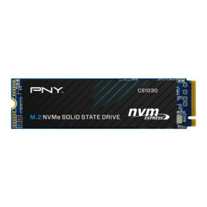PNY CS1030 500Go